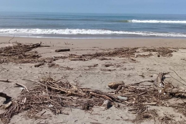 Mar arroja desechos en costas de Rosario