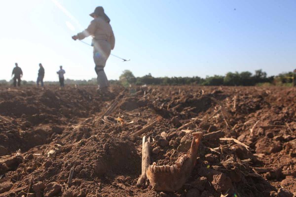Podrían desaparecidos formar un poblado