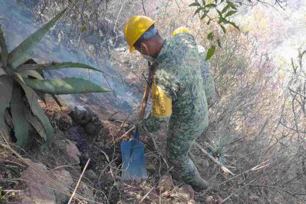 $!Incendio forestal en Oaxaca, lleva seis días; helicóptero de la Semar se suma al combate