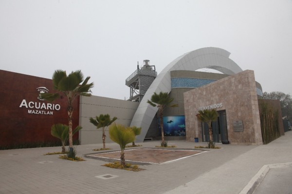 Fiscalía de Sinaloa resolvió tapar con cemento los huecos del Tiburonario y se acabó: PAN