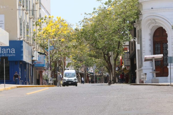 Modifican rutas de camiones urbanos por apertura de la Avenida Carrasco, en Culiacán