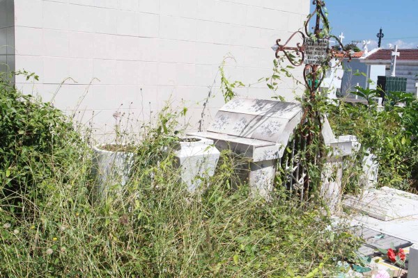 Los deudos se quejan del estado actual del campo santo, en que no se puede ni pasar a ver las tumbas de sus familiares.