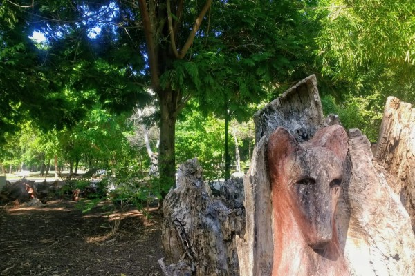 El Jardín Botánico de Los Mochis tendrá un jardín etnobiológico