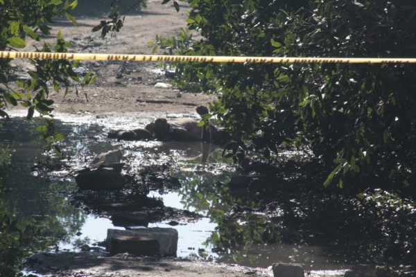 Identifican a hombre encontrado muerto en el Estero del Infiernillo en Mazatlán