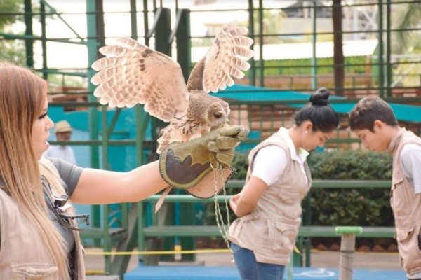 Cuenta el Acuario Mazatlán con una exhibición especial