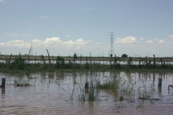 Más de 14 mil hectáreas dañadas con las lluvias del jueves 20 de septiembre