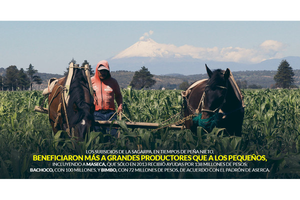 La Sagarpa de Peña dio a Bachoco, Bimbo y Maseca más subsidio que a campesinos pobres, dicen cifras