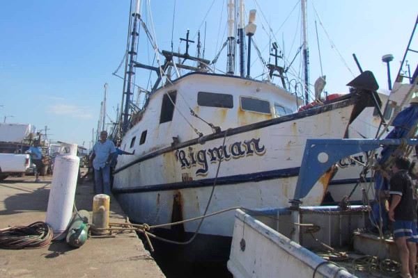Desespera a pescadores falta de pago de Propesca