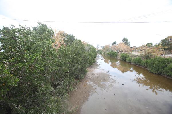 El arroyo Jabalines, en Mazatlán, se revestirá sin Manifestación de Impacto Ambiental