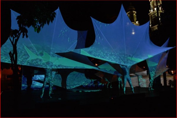 Atrapa miradas 'Efecto mariposa' en la plazuela Obregón