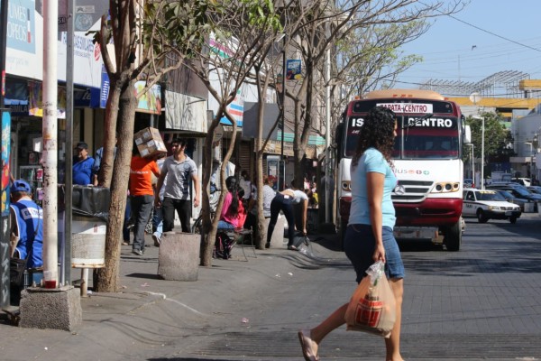 Gobierno de Sinaloa olvida publicar Reglamento de Ley de Movilidad