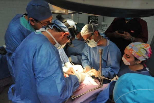 El crecimiento continuo de la demanda de órganos se ve impulsado por el envejecimiento de la población, el aumento de la longevidad y las mejoras en la eficacia del trasplante de órganos.