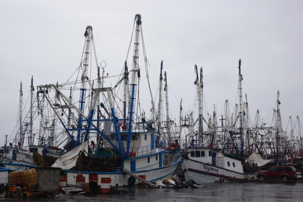 A menos de un mes del levantamiento de veda del camarón, insisten en que muchos barcos de Mazatlán no saldrán