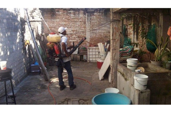 Afirma Salud que mantendrá combate contra el dengue