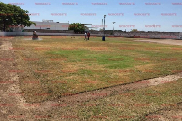 El empastado del estadio de beisbol infantil ya está en su etapa final.