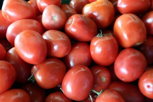 Productores mexicanos de tomate se amparan en EU contra el pago de la cuota impuesta compensatoria