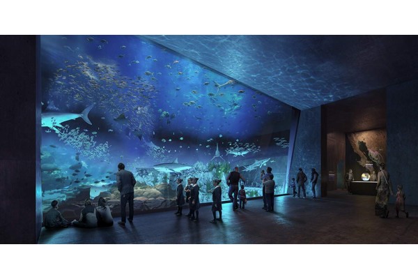Arranca el viernes construcción del nuevo acuario de Mazatlán