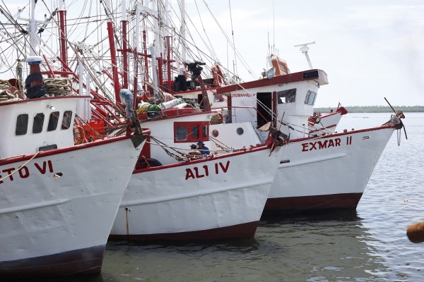 Buscará Elenes Angulo convertir a México en potencia pesquera