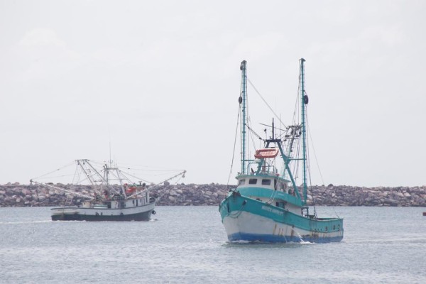 Sin subsidio y con saqueos, inician capturas en altamar