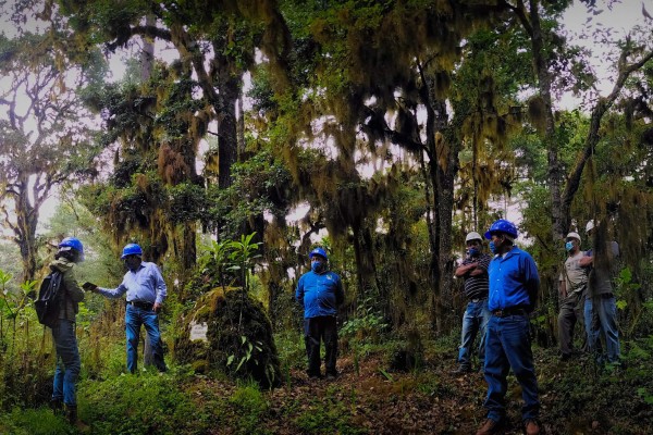Radiografía del manejo forestal comunitario en México: un modelo bajo presión