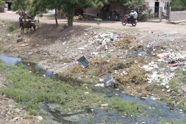 Persiste ciudadanía en tirar basura en arroyos de Culiacán