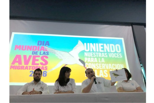 Aumenta el arribo de aves migratorias a Sinaloa