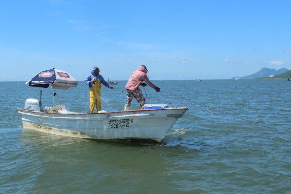 Demanda de pescadores llegará a AMLO: Conapesca