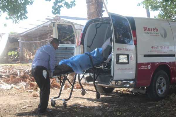 En Culiacán, un hombre muere desangrado al caer de una palmera y cortarse una pierna