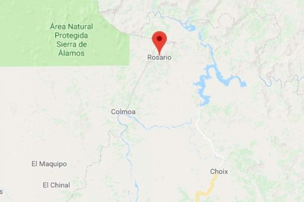 Aseguran vehículos con reporte de robo en la sierra de Rosario