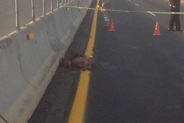 El accidente ocurrió en la autopista Mazatlán-Culiacán, a la altura del poblado de Celestino Gasca, en Elota.