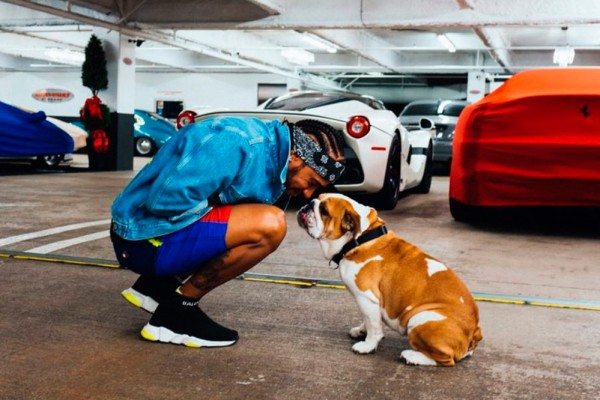 Profundo dolor de Lewis Hamilton tras la muerte de su perrita Coco