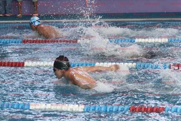 Surgen tritones porteños