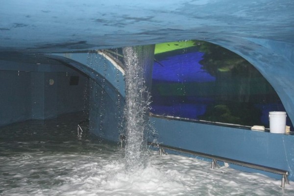 El Tiburonario de Mazatlán colapsó el 1 de febrero de 2017.