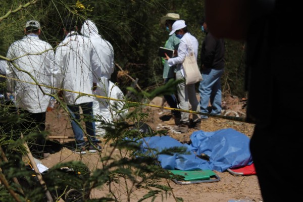 Identifican primeros cuerpos hallados en fosas de Guasave