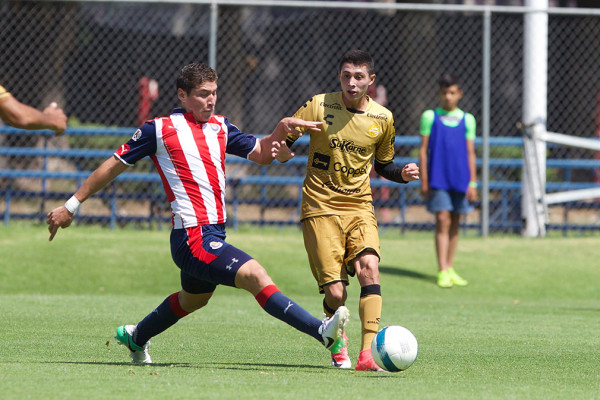 Va Dorados por una hazaña en la final de Tercera División