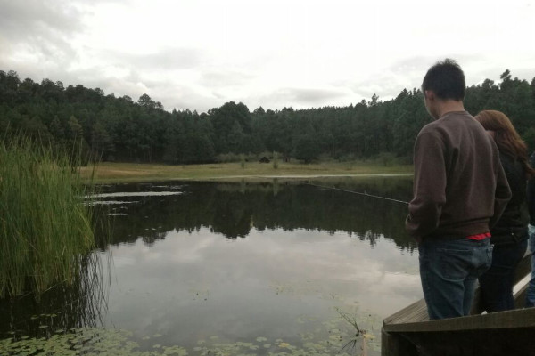 Zona de complejos ecoturísticos