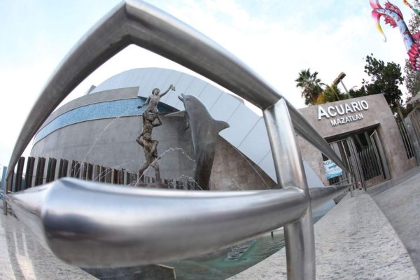 El caso Tiburonario tendrá un nuevo capítulo este martes en el Centro de Justicia de Culiacán.