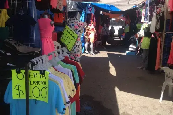Senado avala reforma contra piratería; cambian “ley antimemes” por posible censura.