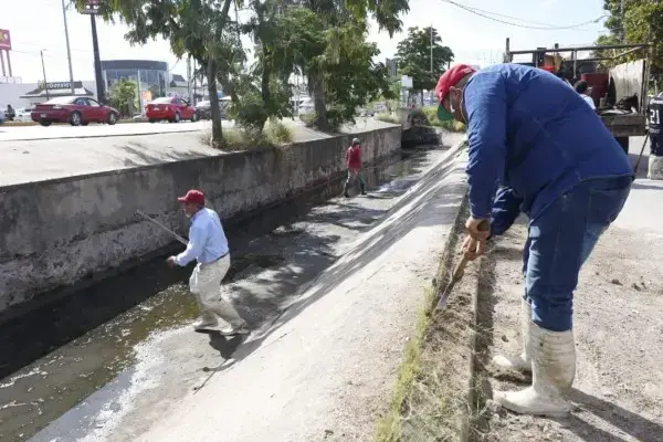 Hasta el momento han realizado limpiezas en 26 kilómetros de alcantarillado, informó Estrella Palacios.