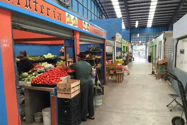 Durante la primera quincena de junio la inflación en México tuvo un descenso.