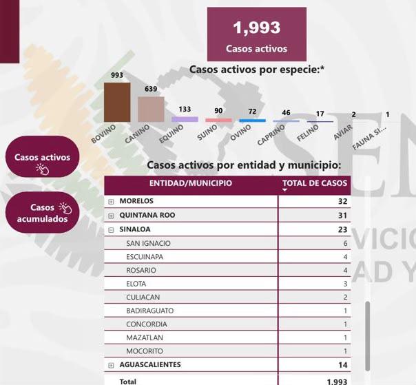 $!Llaman a reforzar medidas preventivas tras confirmarse caso de gusano barrenador en Mazatlán