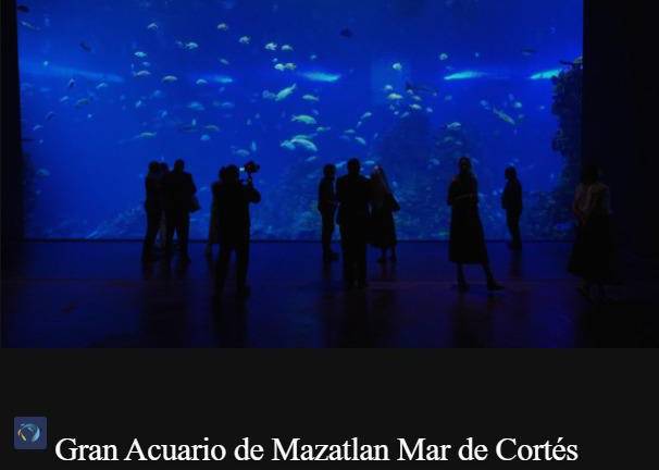 Gran Acuario Mazatlán es finalista en la categoría de Mejor Experiencia Turística en los Galardones Ángel del Turismo.
