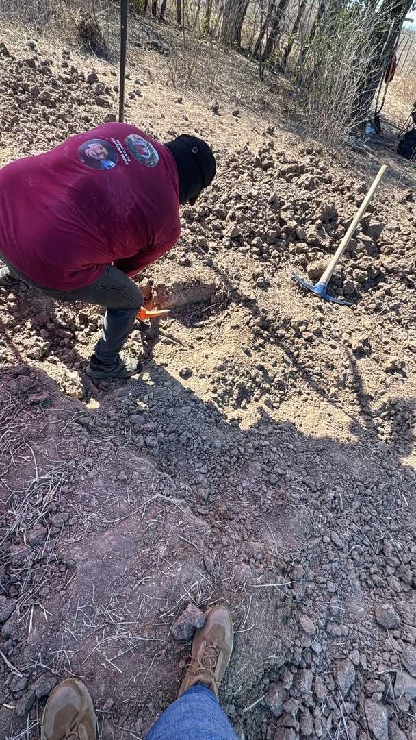 $!Colectivo denuncia omisión de la Comisión Estatal de Búsqueda tras un mes de rastreo en fosas de Concordia