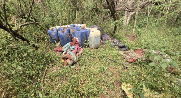 $!Inhabilitan laboratorios clandestinos con pérdidas millonarias para grupos delictivos