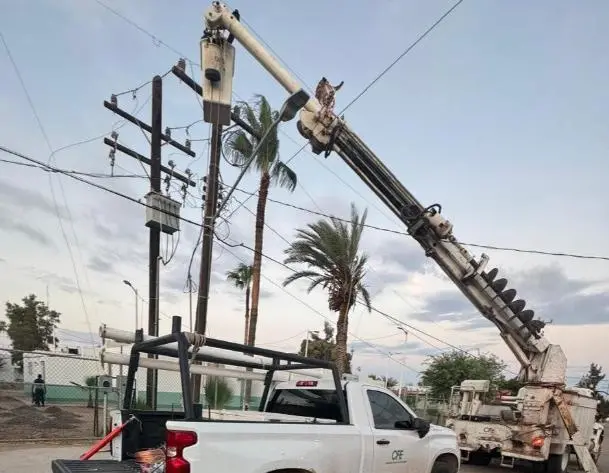 $!Refuerza CFE mantenimiento eléctrico en destinos turísticos de Sinaloa y Sonora
