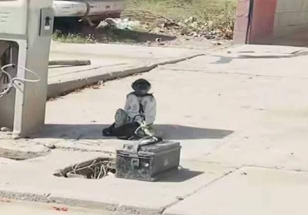 Un mono araña es mantenido bajo el sol en una zona de Los Mochis.