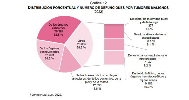 $!Datos sobre muertes por tumores malignos. Fuente: Inegi.