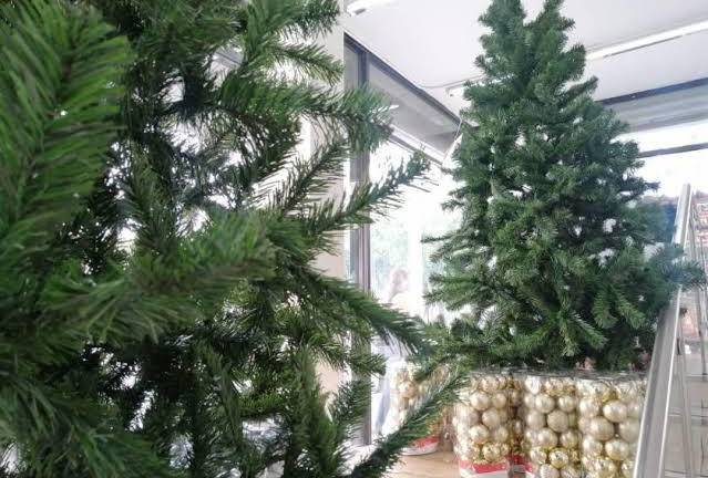 Llega la Navidad y una tradición es la instalación del arbolito, que para hacerlo, implica hacer gastos.
