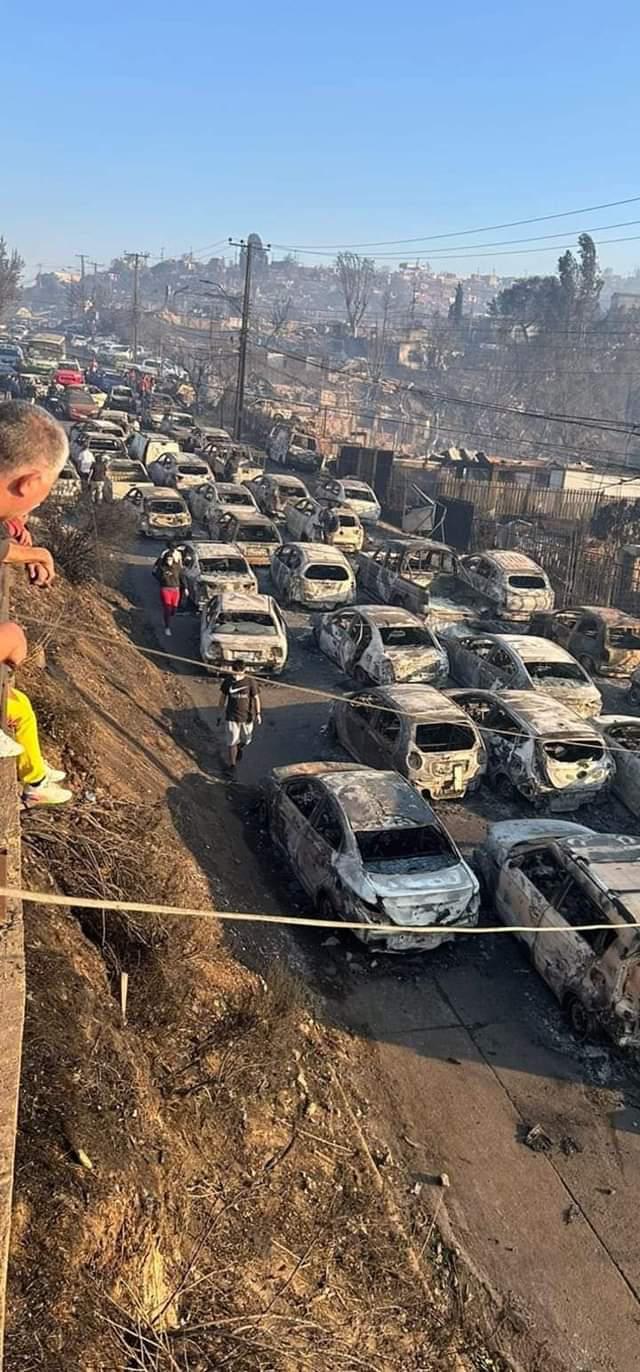 $!Incendios en Chile dejan hasta el momento 51 muertos y más de 300 desaparecidos