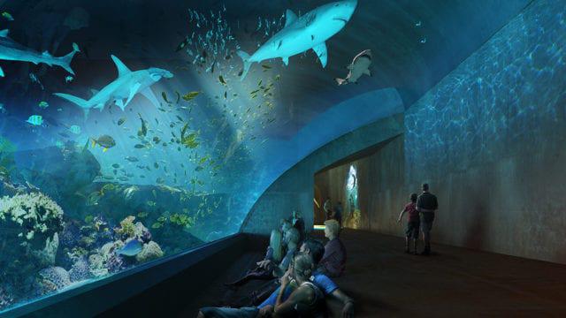 $!Nuevo Acuario de Mazatlán será el único en el mundo que exhiba especies del Mar de Cortés